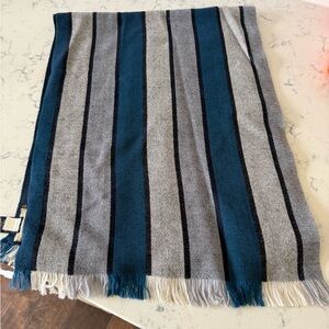 Banana Republic Teal and Black Striped Scarf